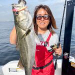 【東京湾ボートシーバス】1つしかルアーを持ち込めないとしたら○○を選択します。/針谷康夫