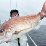 秋の日本海ディープタイラバはスピニングタックルの出番/松本裕之 秋の日本海ディープタイラバはスピニングタックルの出番/松本裕之
