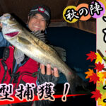 名古屋港で秋のシーバスフィッシング!港湾のポイントで久しぶりの良型ヒット! 名古屋港で秋のシーバスフィッシング!港湾のポイントで久しぶりの良型ヒット!