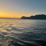 フィールドテスター　上田泰大「東レ懇親グレ釣り大会 in 尾鷲 優勝！」