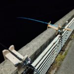 何か釣らねば！！！　温見ダムでワカサギ釣り