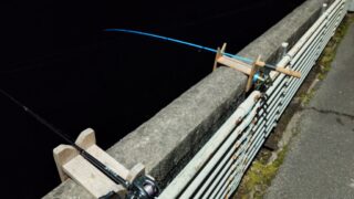 何か釣らねば！！！　温見ダムでワカサギ釣り