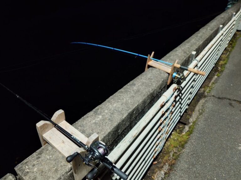 何か釣らねば！！！　温見ダムでワカサギ釣り