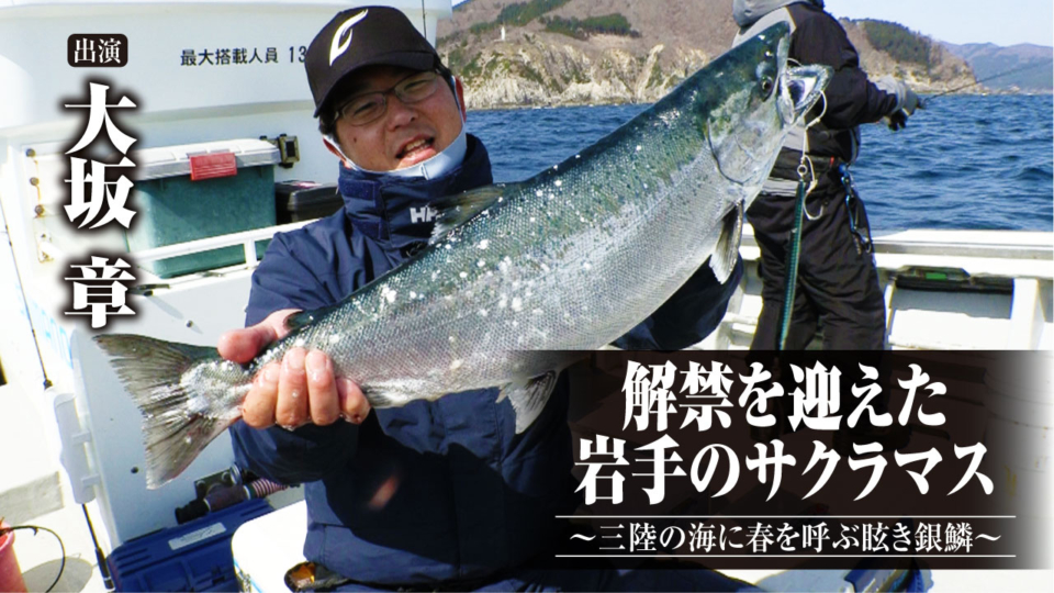 「#464 解禁を迎えた岩手のサクラマス〜三陸の海に春を呼ぶ眩き銀鱗～」をアップいたしました。