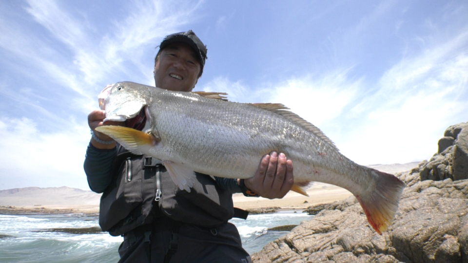 「#318 【Part1】砂漠を縦断するサーフキャスティング～アングラーを虜にするペルーの海～」をアップいたしました。