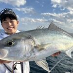 最近釣れてる魚達！！