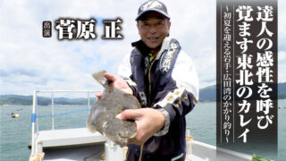 「#419 達人の感性を呼び覚ます東北のカレイ～初夏を迎える岩手・広田湾のかかり釣り～」をアップいたしました。