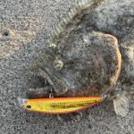 ビーチウォーカーアクシオン大活躍