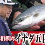 「秋の相模湾！イナダ五目釣り」をアップいたしました。