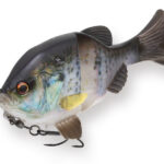 NEW!GillSoft
