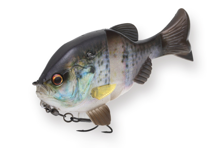 NEW!GillSoft NEW!GillSoft
