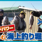 「【前編】虫ヘッドパワーで楽しむ海上釣り堀」をアップいたしました。
