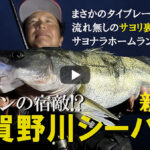 小沼正弥 宿敵！新潟シーバスに挑む in 新潟県阿賀野川2023