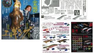 メディア情報に「エギング王vol.11　2012春号」を掲載しました。