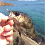 釣行レポートに「邪道」を掲載しました。