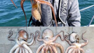 釣行レポートに「晩秋のタコ釣り！」を掲載しました。