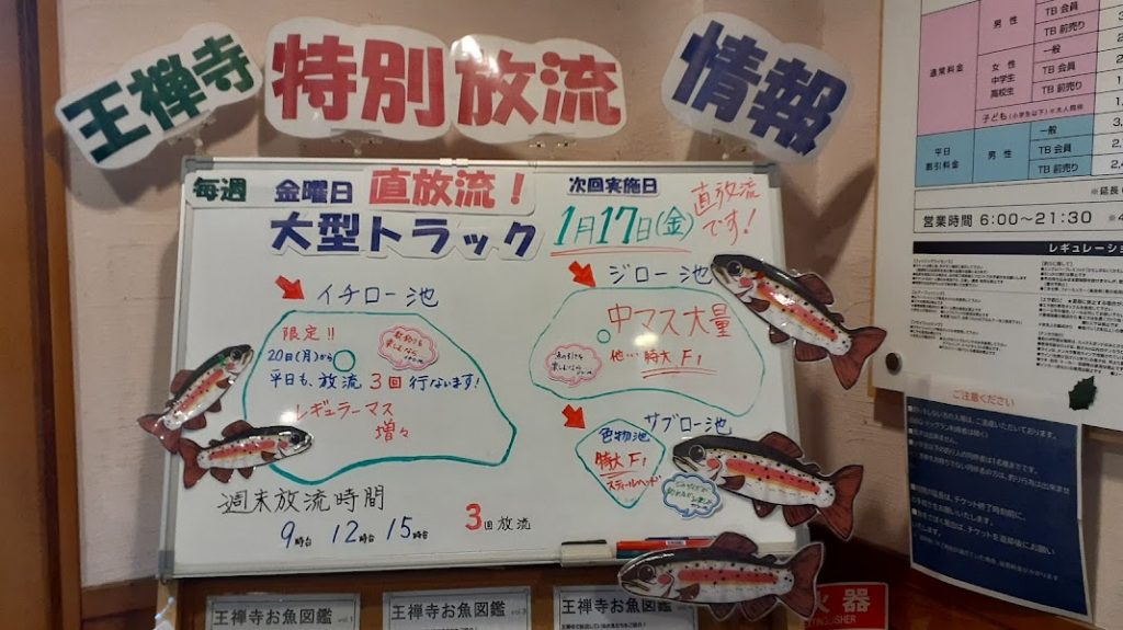 1/17~放流情報