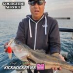 東京湾のゴーゴーガイドサービスさんからの釣果報告
