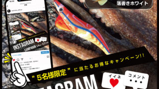 イベント情報に「【蛸墨族】蛸シーズン先取り！キャンペーン」を掲載しました。