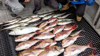釣行レポートに「福井鷹巣沖 完全フカセ釣り！」を掲載しました。