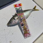 釣行レポートに「鬼アジ/サビキ」を掲載しました。 釣行レポートに「鬼アジ/サビキ」を掲載しました。