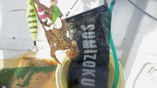 釣行レポートに「タコ/エギタコ」を掲載しました。
