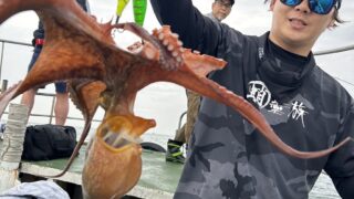 釣行レポートに「タコ/エギタコ」を掲載しました。