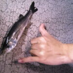 冬でも釣りに！！