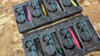 【新商品】バレーヒル【SWARM80S】