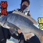 くにちゃんの！！もっと釣りたい！！！　爆風チヌフカセ修行