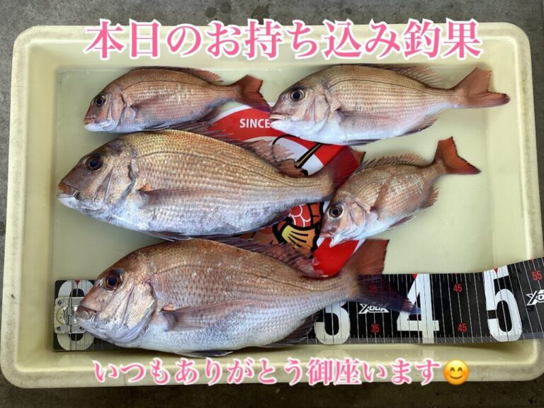 【釣果お持ち込み】チョクリでマダイ！！
