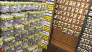 中古トラウトルアーの値下げしました！