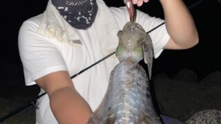 釣行レポートに「仕事終わりエギング！朝マズメまでオールします！」を掲載しました。