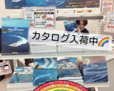 カタログ続々入荷中🔥新商品キャンペーン開催中🌈