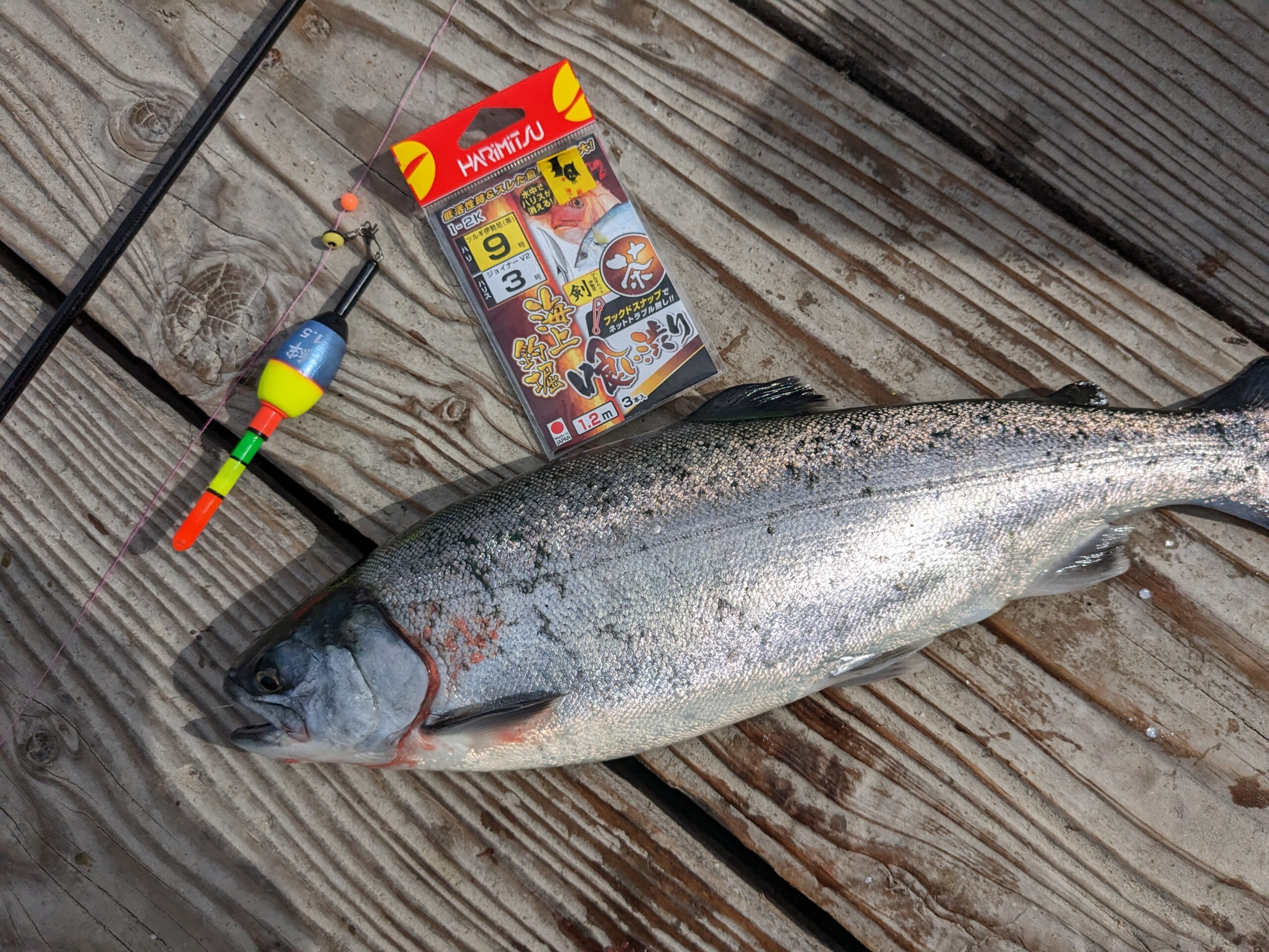 釣行レポートに「釣り堀水宝さんにて」を掲載しました。
