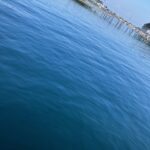 小島養魚場さんにお邪魔してきました！