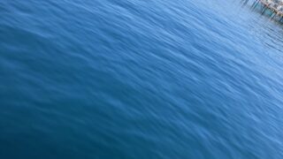 小島養魚場さんにお邪魔してきました！