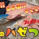 【GM公式YouTube】あまから釣査隊「簡単！お手軽！すぐできる！河口のハゼつり」公開