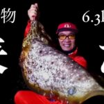 6.3kg怪物に震撼【沖縄エギング】水深50cmのリーフをエギシャープV0シリーズで狙う！