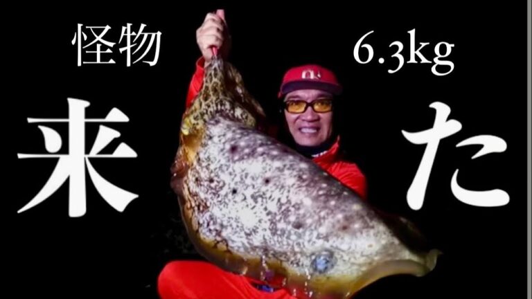 6.3kg怪物に震撼【沖縄エギング】水深50cmのリーフをエギシャープV0シリーズで狙う！