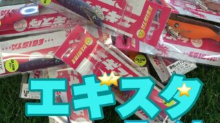 ★新商品★　　釣研　　「エギスタ　ライト」