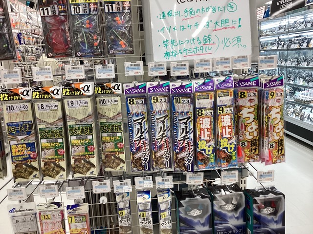 近隣でカレイが好調♪
