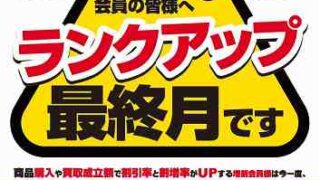 新品バチルアー入荷！！！