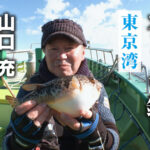 「フグのカットウ釣り・東京湾」を公開いたしました。