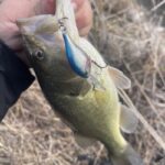 2月　フジモンのバス釣行66