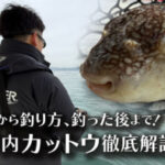 「瀬戸内カットウ徹底解説　準備から釣り方、釣った後まで！」をアップいたしました。 https://ownertv.jp/movie/4985/