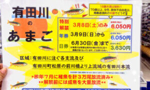 【有田川のあまご】遊漁券入荷☆