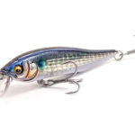 【Megabass blog】大友純一「X-75 SW 直感&思いつき釣行」 【Megabass blog】大友純一「X-75 SW 直感&思いつき釣行」