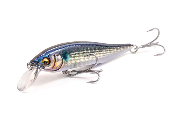 【Megabass blog】大友純一「X-75 SW 直感＆思いつき釣行」