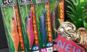 【新商品】🌈ＤＵＥＬより新作エギがドドンっと入荷～( …